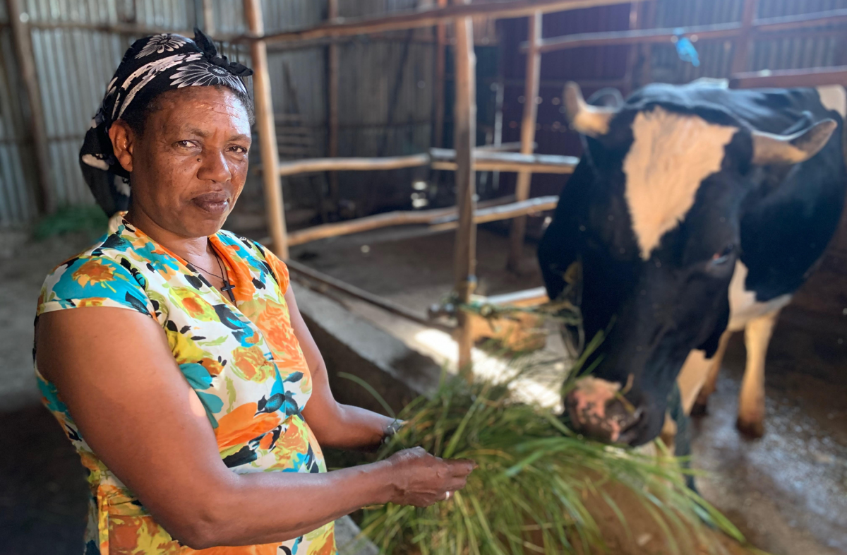 Ethiopian livestock owner and her local bred cow